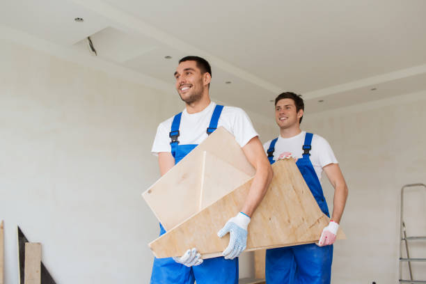 Best Demolition Debris Removal  in Chesaning, MI