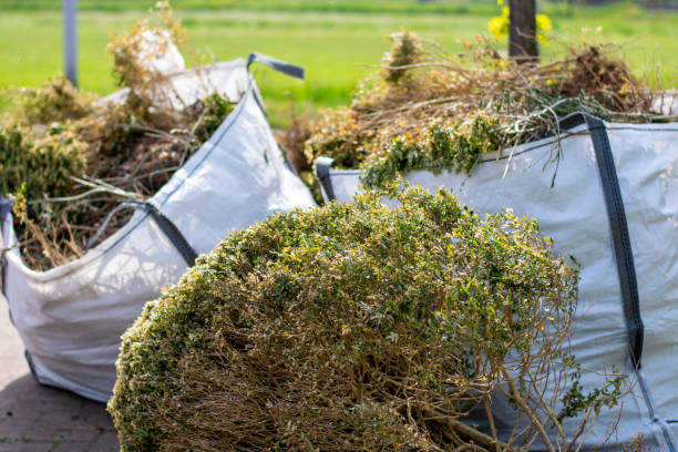 Best Recycling Services for Junk  in Chesaning, MI