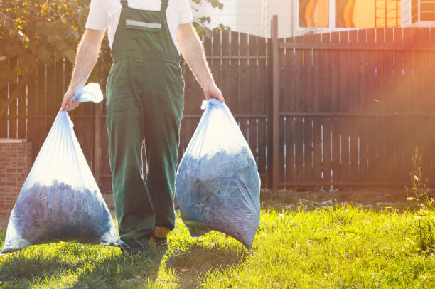 Best Electronics and E-Waste Disposal  in Chesaning, MI